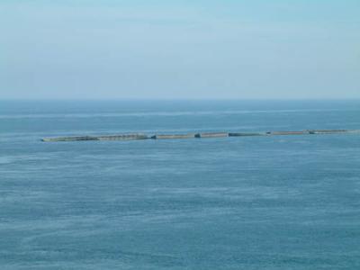 DSCF0636.JPG