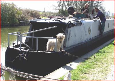 Shaggy  dog  on  barge.
