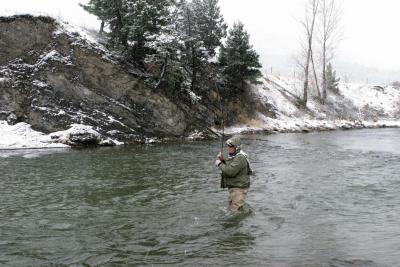 Playing a Fish