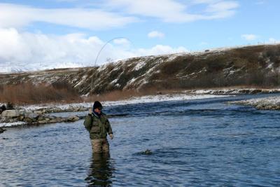 Bent Rod 2