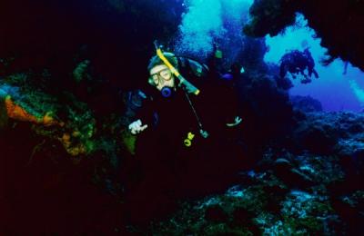 Kim sees Cozumel from a different angle