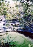 Sacrificial Cenote - where the virgins were sent!!