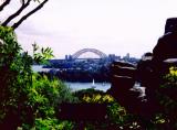 Sydney Harbour Bridge from Taronga Zoo