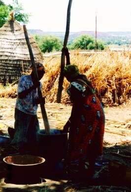 Women separating the millet seeds fromt he chaff