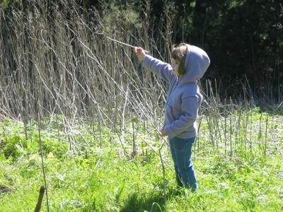 Planting sticks