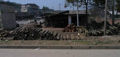 29698-Local Lumber yard.jpg