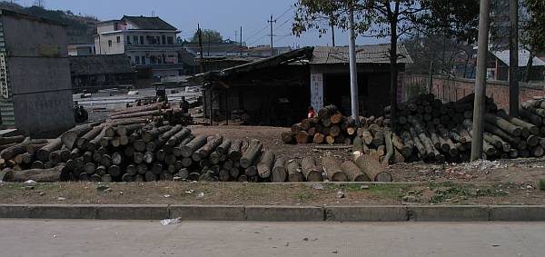 29698-Local Lumber yard.jpg