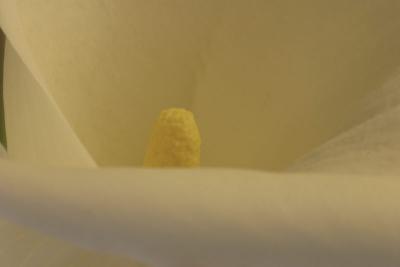 IMG_9793.jpg
