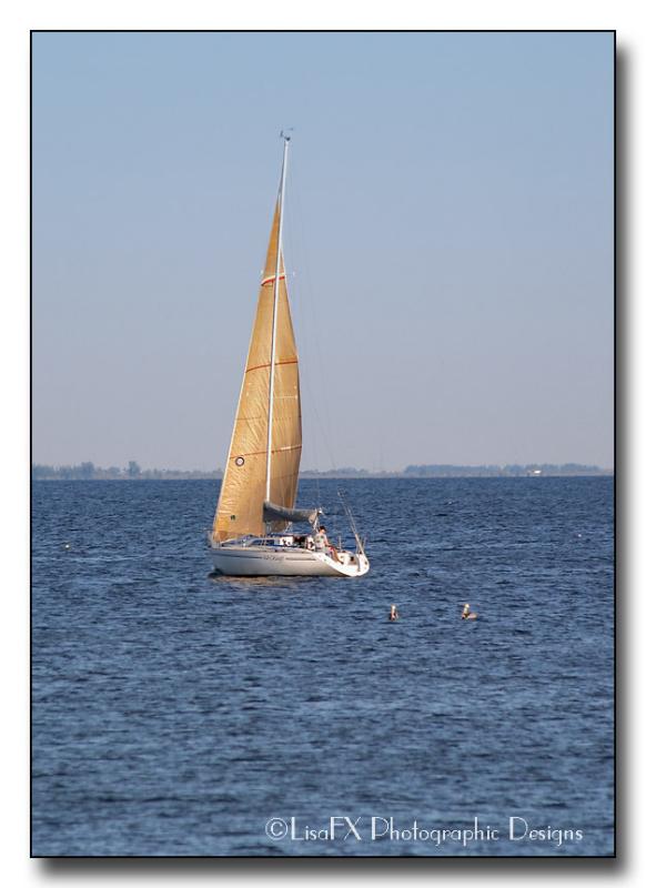 025-Golden-Sails.jpg