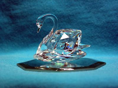 Crystal Swan_2466 +5.jpg
