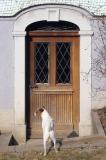 Beachbriss Henley calling at the door