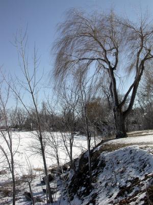 Hopefully the last ice storm of the season