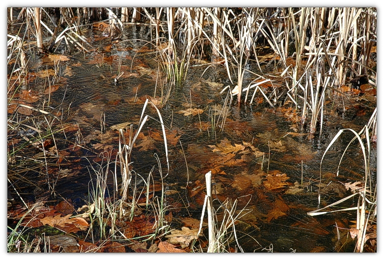 DSC_3408a.JPG