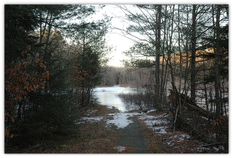 DSC_5274a.JPG