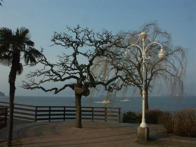 Wintery promenade