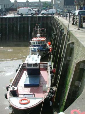 Harbour Boat