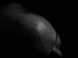 IMG_0836 edit sized.jpg