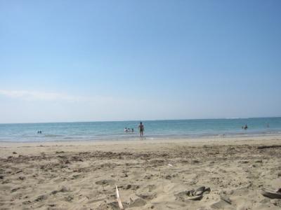 The beach at Dorado