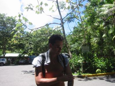 Arriving at el Yunque rain forest
