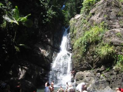 El Yunque rain forest