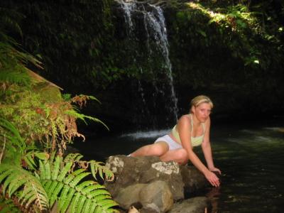 El Yunque rain forest