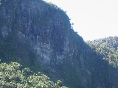 El Yunque rain forest