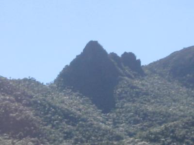 El Yunque rain forest