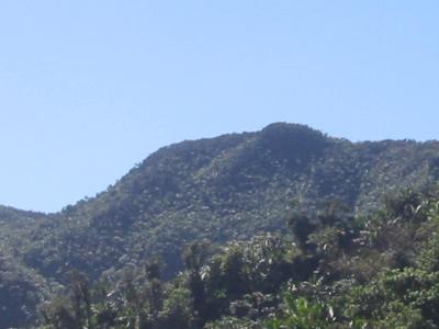 El Yunque rain forest