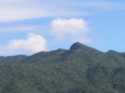El Yunque rain forest