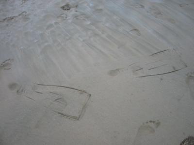 Flipper footprints