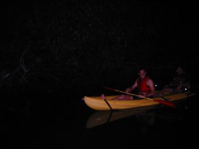Kayakers returning from the bay
