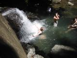 El Yunque rain forest
