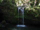 El Yunque rain forest