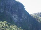 El Yunque rain forest