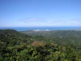 El Yunque rain forest