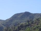El Yunque rain forest