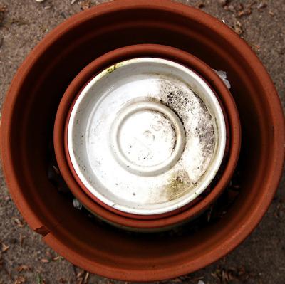 pi pots