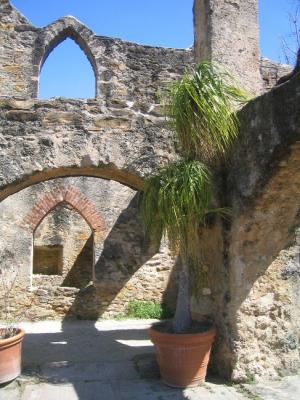 Palm and Arches.JPG