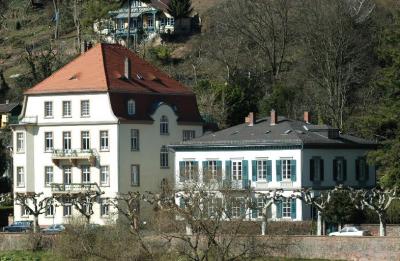 Houses beside the Neckar River