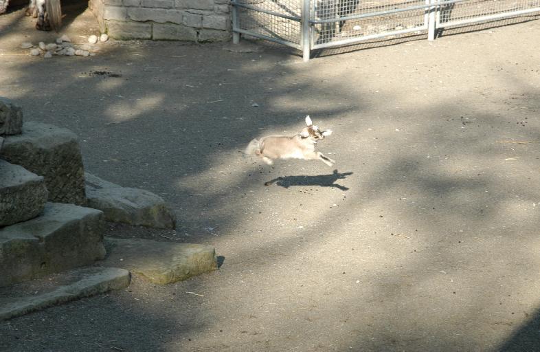 DSC_5795.JPG