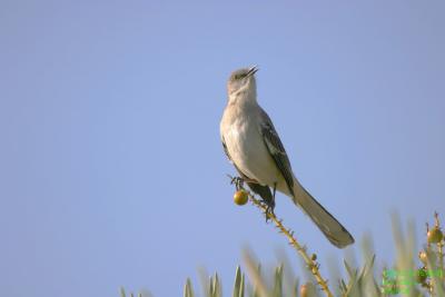 {Q}img_5619.jpg