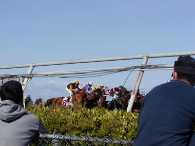 P4050014.JPG