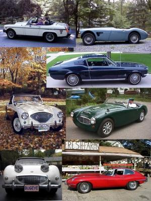 The cars.....