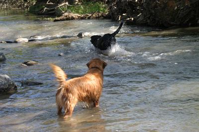 IMG_1930WEB.jpg