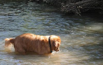 IMG_1931WEB.jpg