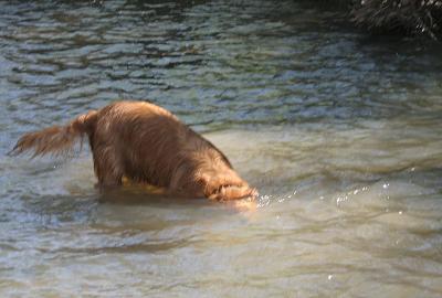 IMG_1932WEB.jpg