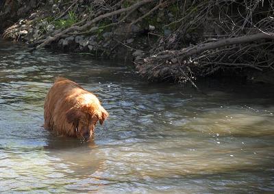 IMG_1933WEB.jpg