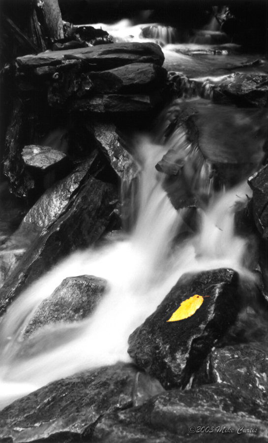 Mountain Stream BW.jpg
