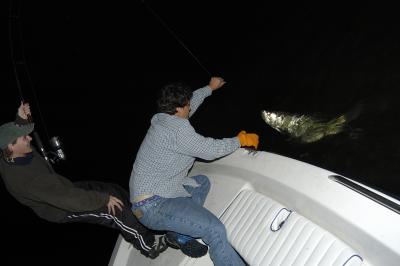 u25/mike_rementer/medium/15050121.haroldandjonahwith35lbtarpon040303.jpg