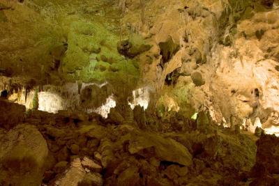 CRW_7253.jpg